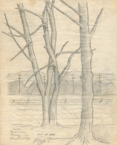 Trees in Monticello, NY