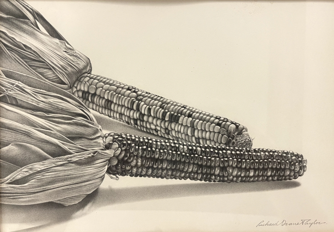 Bushel of Indian Corn